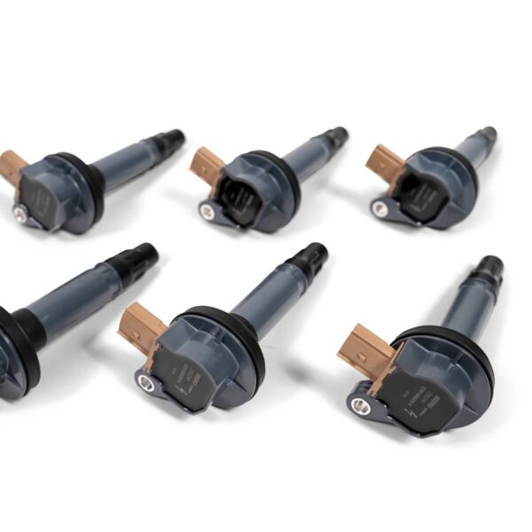 BorgWarner BERU 2012-2017 3.5L Ecoboost Ignition Coils - SOLD INDIVIDUALLY