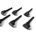 BorgWarner BERU 2018-2020 3.5L Ecoboost Ignition Coils - SOLD INDIVIDUALLY