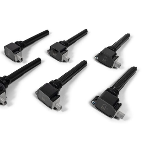 BorgWarner BERU 2018-2020 3.5L Ecoboost Ignition Coils – SOLD INDIVIDUALLY