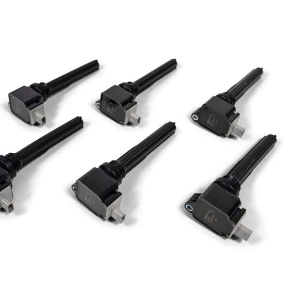 BorgWarner BERU 2018-2020 3.5L Ecoboost Ignition Coils - SOLD INDIVIDUALLY