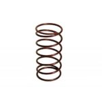 BorgWarner EFR Stiff Blow Off Valve Spring