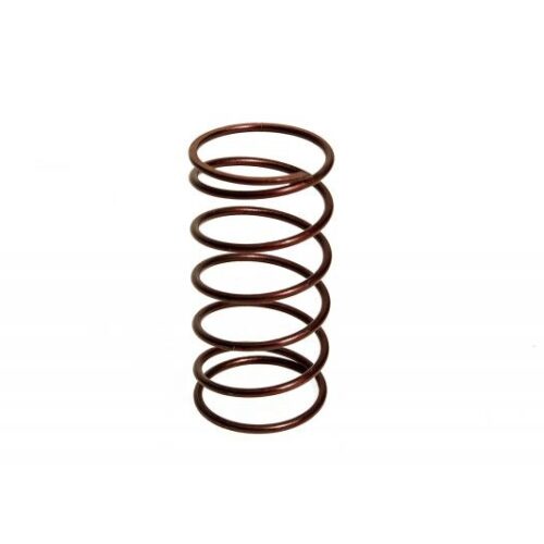 BorgWarner EFR Stiff Blow Off Valve Spring